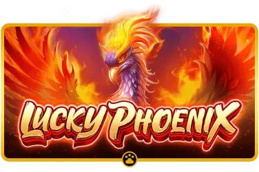 Bangladesh user scenario image for cricket and football browsing on bk99